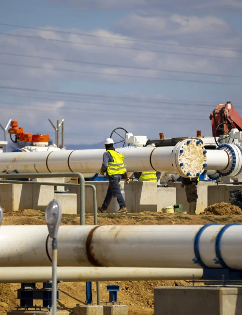 iStock-1388717020 iStock-1388717020